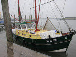 Spiering visser
